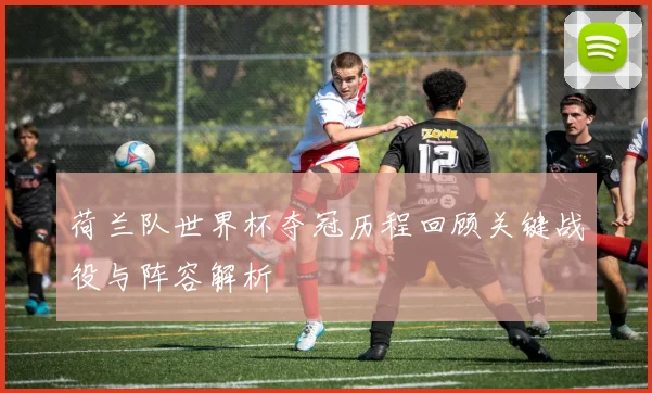 荷兰队世界杯夺冠历程回顾关键战役与阵容解析
