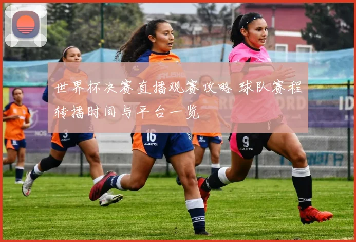 世界杯决赛直播观赛攻略 球队赛程转播时间与平台一览