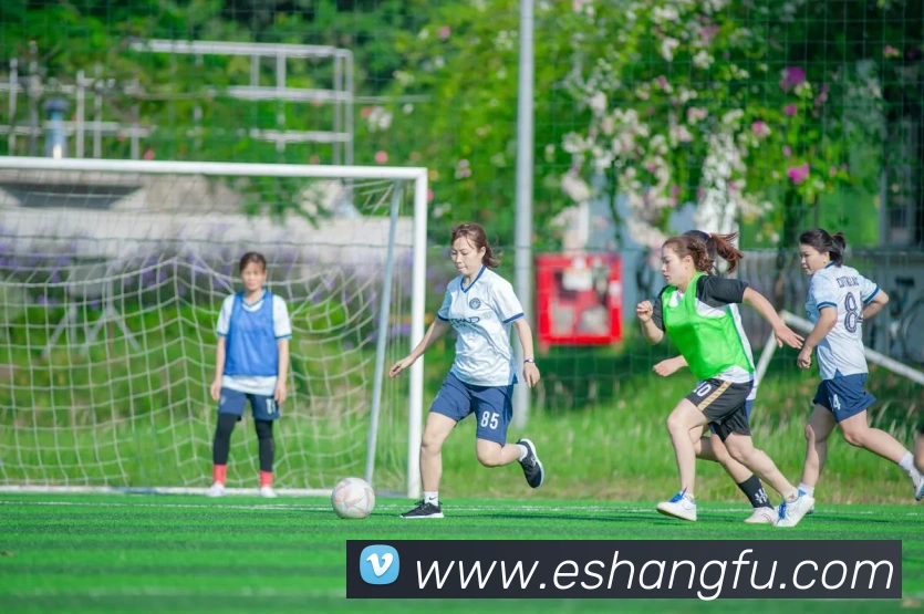 博亚汇app服务体系